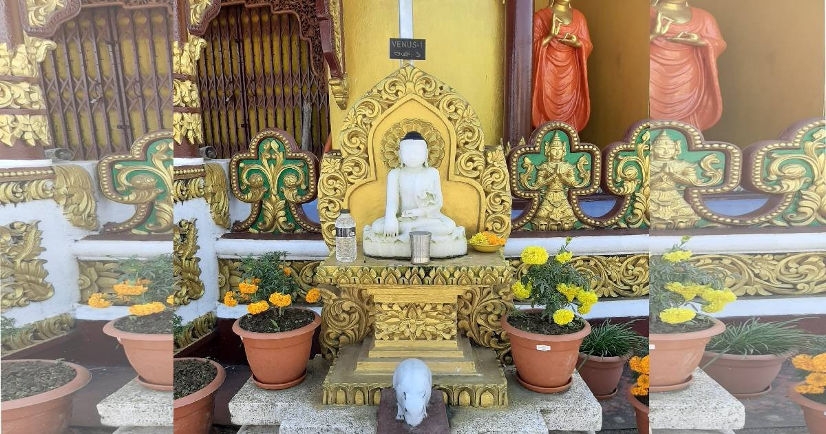 The seated golden Buddha — gallery hero
